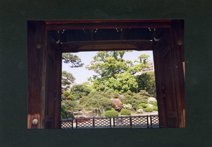 c0046587_0491783.jpg