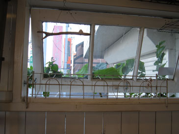 c0146487_16484041.jpg