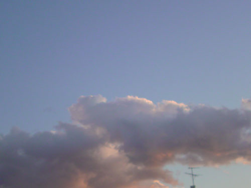 e0078187_206541.jpg