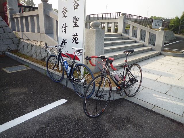 a0118289_8381744.jpg