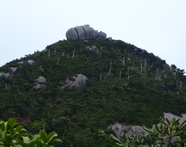 c0018489_0282434.jpg