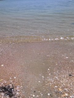 c0119891_1423880.jpg