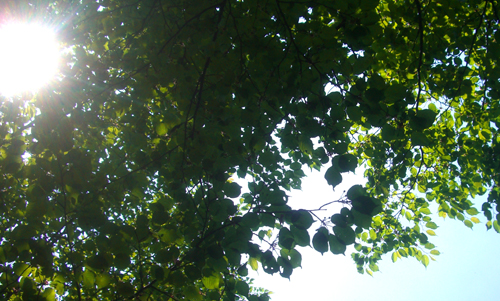 b0099994_1635373.jpg