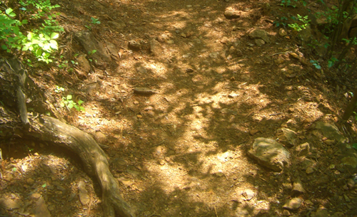 b0099994_16541637.jpg