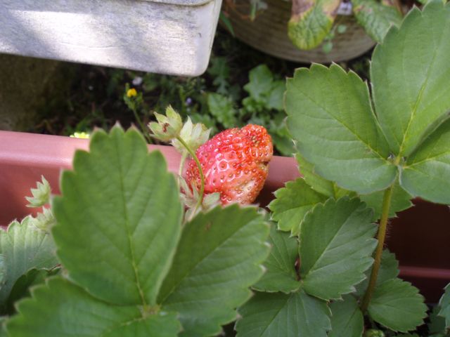 f0130894_20515871.jpg