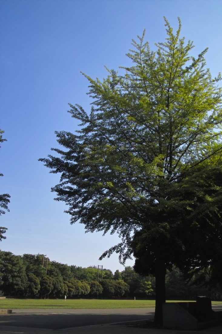 c0124795_23171659.jpg