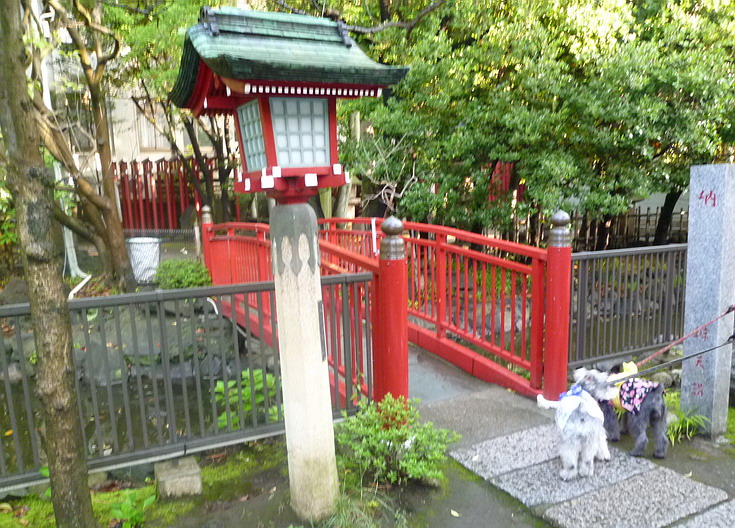 c0138198_1329229.jpg