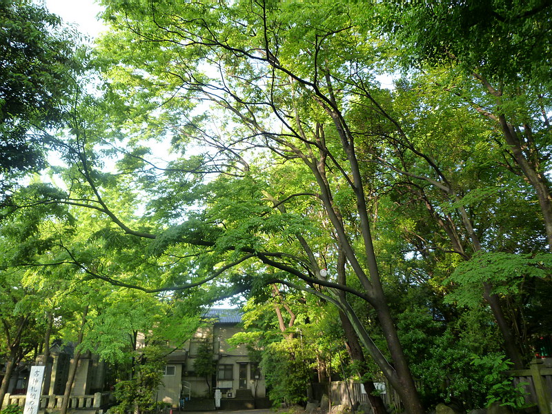c0138198_13305222.jpg
