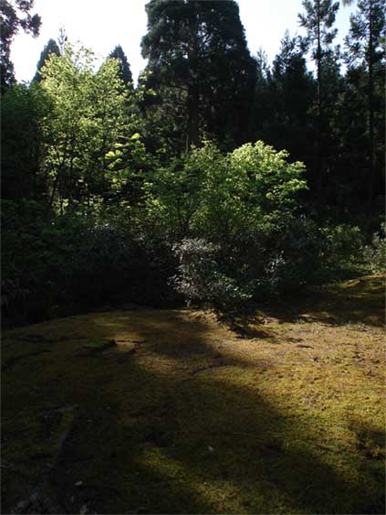 a0061599_7522752.jpg