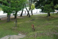 f0221708_2220288.jpg