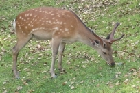 f0221708_22211183.jpg