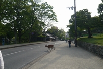 f0221708_22212749.jpg