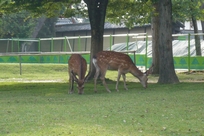 f0221708_22214946.jpg