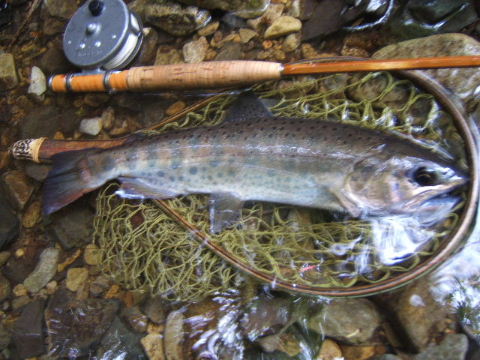 f0079411_15582568.jpg