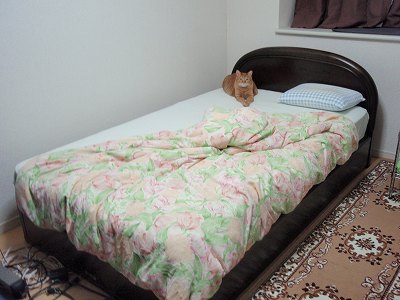 c0145016_8252430.jpg