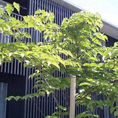 c0036617_1912058.jpg