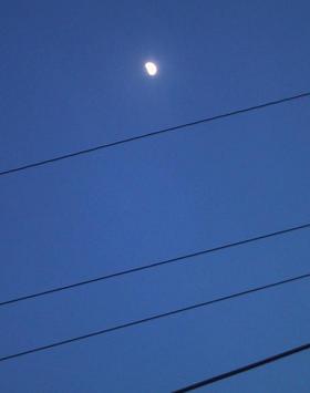 c0097620_10384020.jpg
