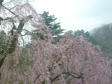 a0074523_1823815.jpg