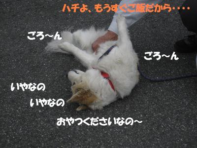 f0143123_20491497.jpg