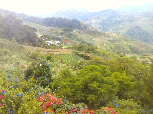 d0159325_0283333.jpg