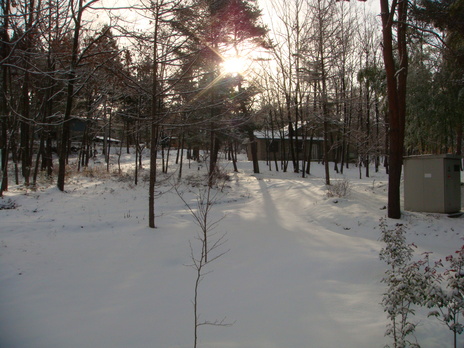 d0159325_20424946.jpg
