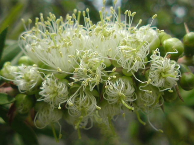 e0016828_10515468.jpg