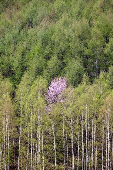 e0025030_17125715.jpg