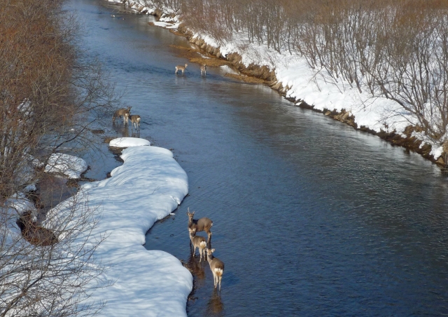 f0053130_21444476.jpg