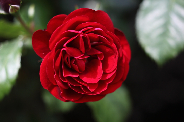 c0125735_2083540.jpg