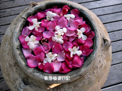 f0190653_93980.jpg