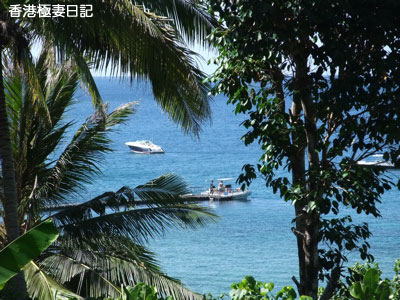 f0190653_95828.jpg