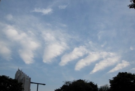 b0173754_1104873.jpg