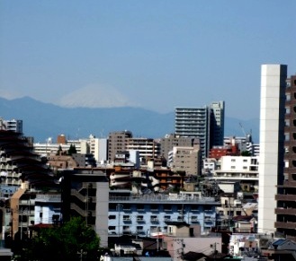 b0173754_1146659.jpg