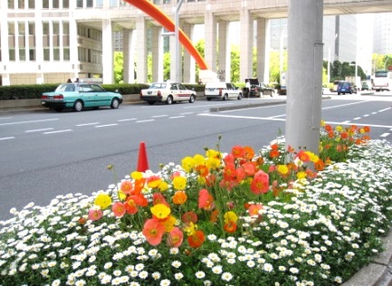 b0173754_9591193.jpg