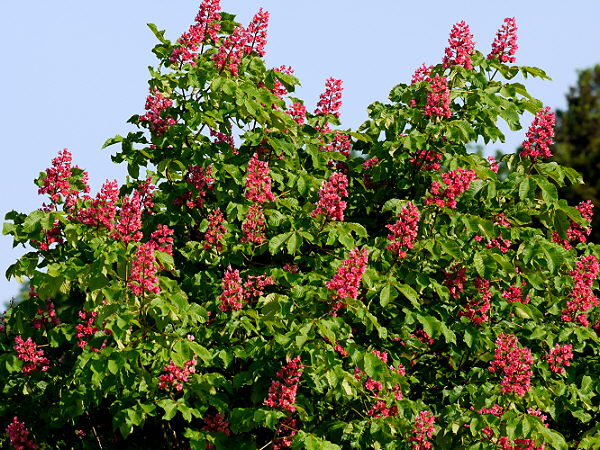 d0091754_1825348.jpg