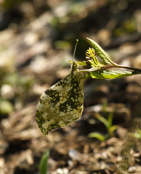 d0091754_20144663.jpg