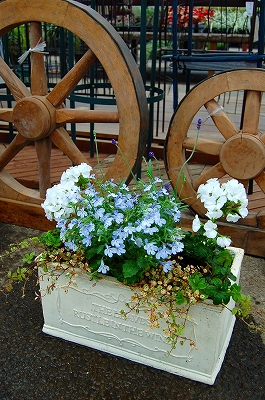 e0025655_5302185.jpg