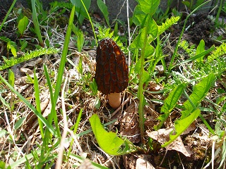 e0004756_21542113.jpg
