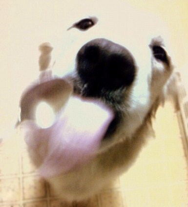 c0097558_17593478.jpg