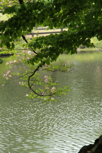 f0214858_21405358.jpg