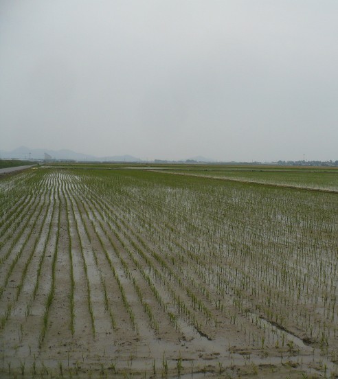 a0063364_23503175.jpg