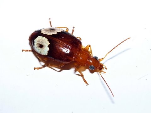 b0130166_20504731.jpg