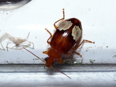 b0130166_20504756.jpg