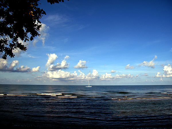 f0052269_0195825.jpg