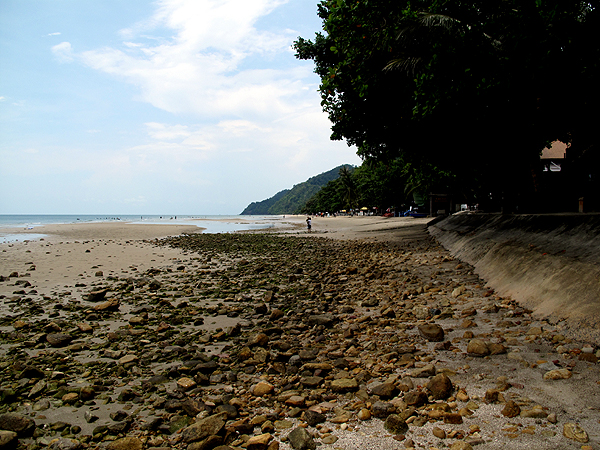 f0052269_0201123.jpg