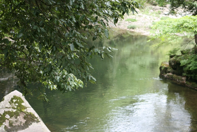 f0088569_6583271.jpg