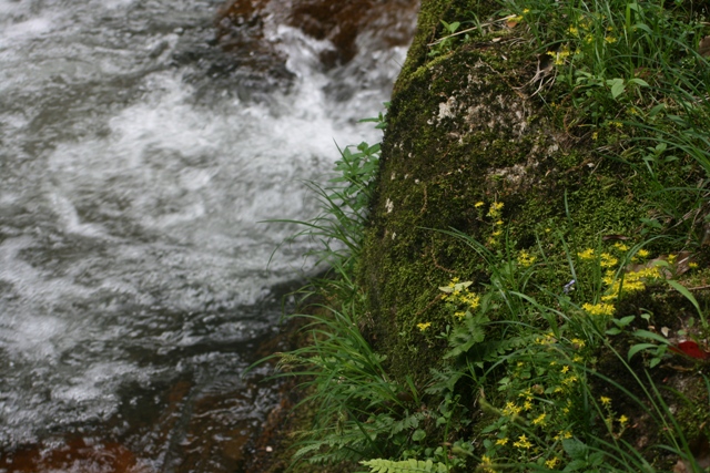 f0088569_6595879.jpg