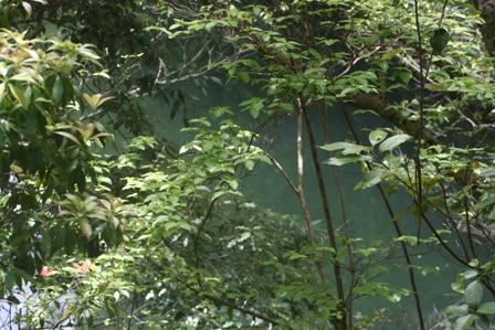 f0088569_7131961.jpg