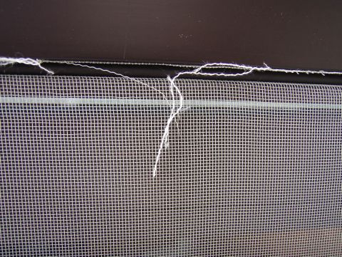 f0047773_1140231.jpg