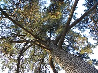b0004675_16411636.jpg